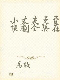 小丈夫免费版电视剧全集在线观看