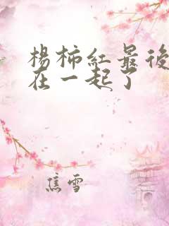杨柿红最后和谁在一起了