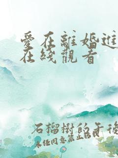 爱在离婚进行时在线观看
