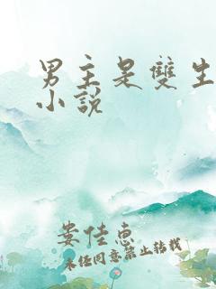 男主是双生子的小说 男主是双生子的小说