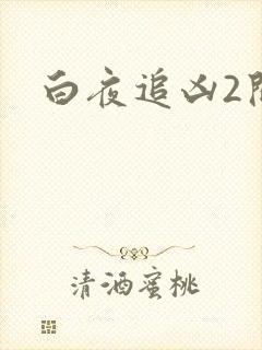 白夜追凶2开播
