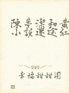 陈梦洁和黄杰的小说迷途红颜