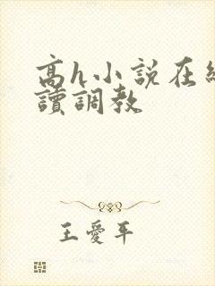 高h小说在线阅读调教