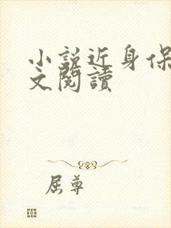 小说近身保镖全文阅读