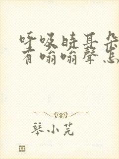 呼吸时耳朵里总有嗡嗡声怎么解决