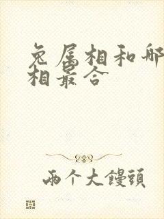 兔属相和哪个属相最合