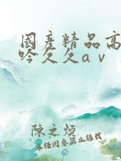 国产精品高潮呻吟久久aⅴ