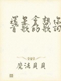 还是会想你是哪首歌的歌词