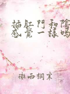 插肛门和阴道的感觉一样吗