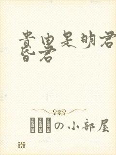 贵由是明君还是昏君