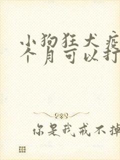 小狗狂犬疫苗几个月可以打