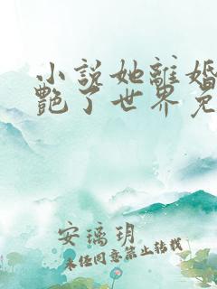小说她离婚后惊艳了世界免费阅读