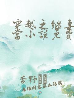 穿越之继妻不好当小说免费阅读全文
