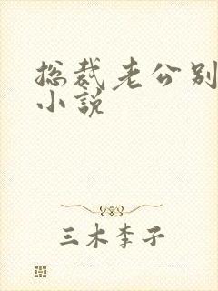 总裁老公别太坏小说