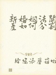 新婚姻法关于财产如何分割