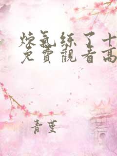 炼气练了十万年免费观看高清版