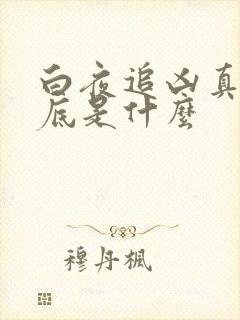 白夜追凶真相到底是什么