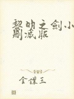 黎明之剑小说无删减版
