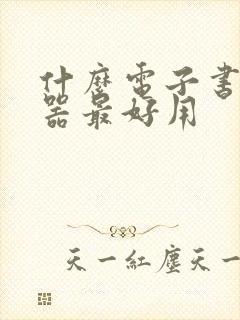 什么电子书阅读器最好用