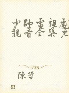 少帅电视剧在线观看全集免费播放