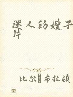 迷人的嫂子伦理片