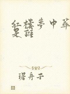 红楼梦中葬花人是谁