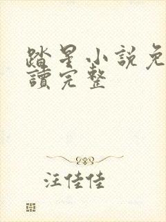 踏星小说免费阅读完整