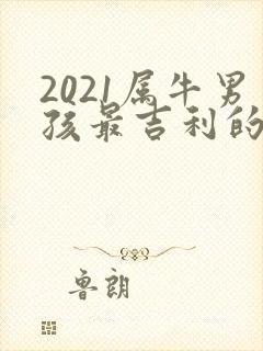 2021属牛男孩最吉利的名字