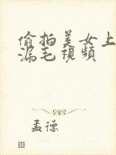 偷拍美女上厕所漏毛视频