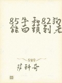 85牛和82狗能白头到老吗