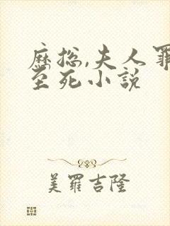 历总,夫人罪不至死小说