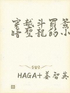 穿越斗罗签到黑暗圣龙的小说