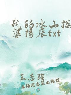 我的冰山总裁老婆杨辰txt