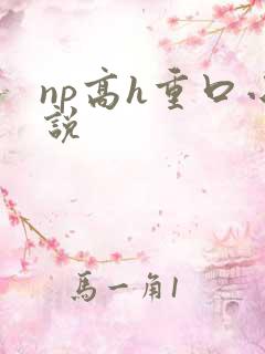 np高h重口小说