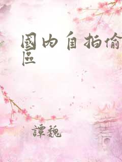 国内自拍偷拍一区