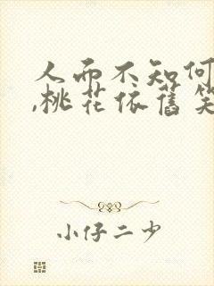 人面不知何处去,桃花依旧笑春风意思