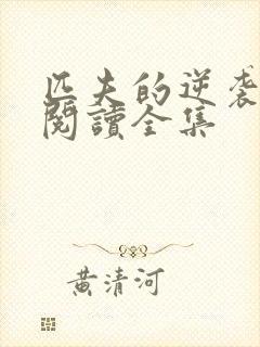 匹夫的逆袭全文阅读全集