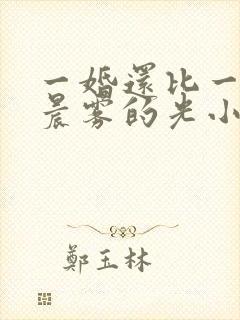 一婚还比一婚高晨雾的光小说