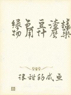 绿色豆渣样分泌物用什么药