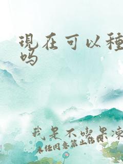 现在可以种甜瓜吗