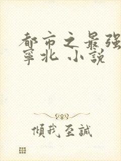 都市之最强战神宁北 小说