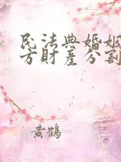 民法典婚姻过错方财产分割 民法典婚姻过错方财产分割