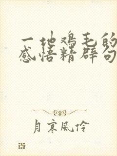 一地鸡毛的人生感悟精辟句子