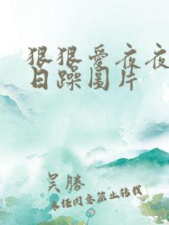 狠狠爱夜夜爽日日躁图片