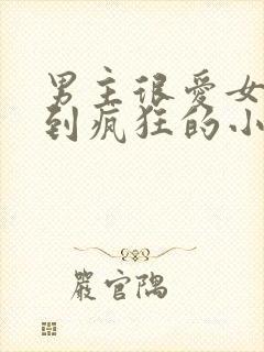 男主很爱女主爱到疯狂的小说现言