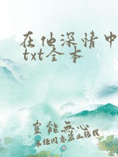 在他深情中陨落 txt全本