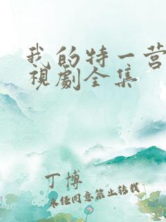 我的特一营 电视剧全集