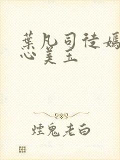 叶凡司徒嫣然美心美玉