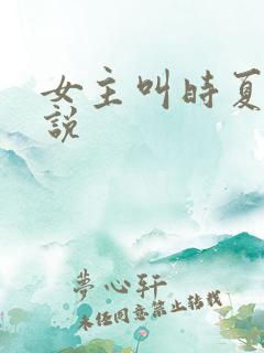 女主叫时夏的小说