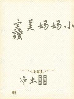 完美妈妈小说阅读